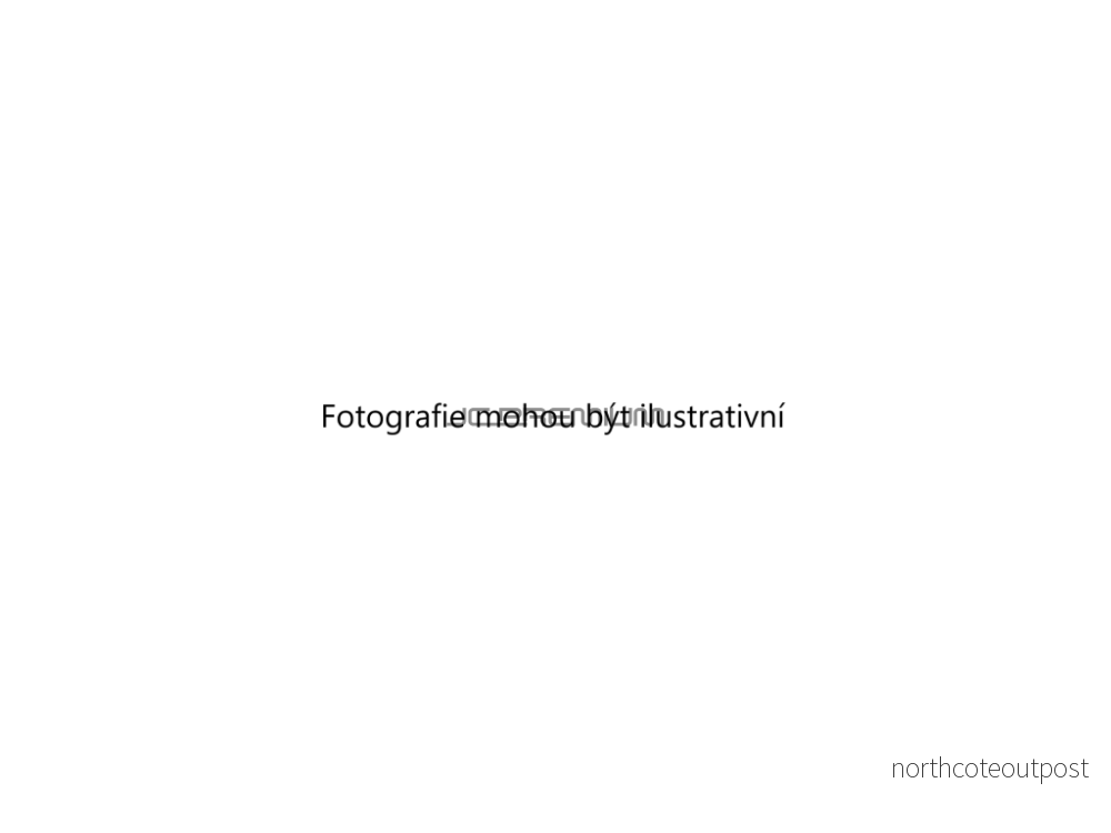 Vzduchový filtr (JC PREMIUM B2W019PR) 7130348