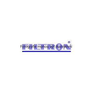 Vzduchový filtr (FILTRON AP185/5) 5903347