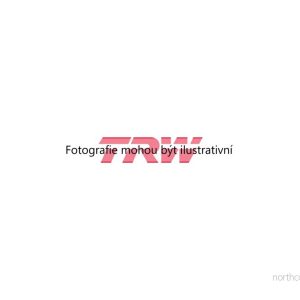 Vystrazny kontakt, opotrebeni oblozeni (TRW GIC102) 4993688