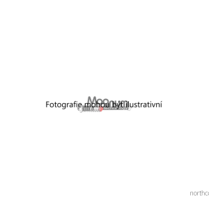 Ochranná sada proti prachu, tlumič pérování (MAGNUM A9B004MT) 2578615