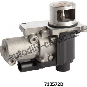 EGR Ventil WAHLER (WH 710572D)